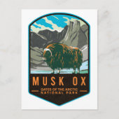 Musk Ox Gates Of The Arctic National Park Briefkaart (Voorkant)
