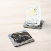 Musk Ox met Calf Drankjes Onderzetter (Rechterzijde)