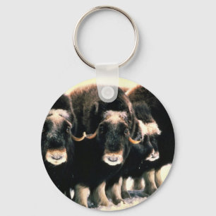 Musk Oxen Sleutelhanger