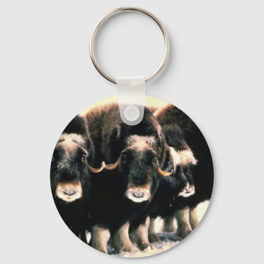 Musk Oxen Sleutelhanger (Voorkant)