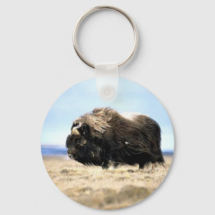 Musk Oxen Sleutelhanger
