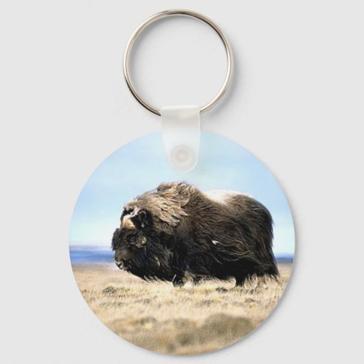 Musk Oxen Sleutelhanger (Voorkant)