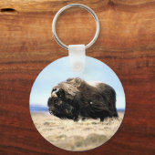 Musk Oxen Sleutelhanger (Voorkant)