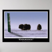Musk Oxen & Totem Pole Art Poster (Voorkant)