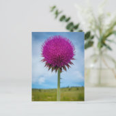 Musk Thistle Foto Briefkaart (Staand voorkant)