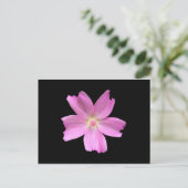 Muskareg-mallow Briefkaart (Staand voorkant)