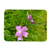 Muskareg-mallow Magneet (Horizontaal)