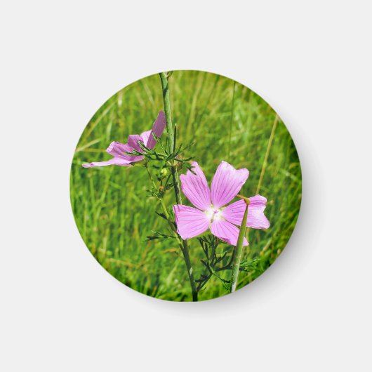 Muskareg-mallow Magneet (Voorkant)