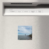 Muskegonmeer Magneet (Insitu (Vaatwasser))