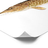Muskie & Pike Art Poster (Hoek)
