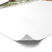 Muskie, Pike, Tiger en Pickervisjes Poster (Hoek)