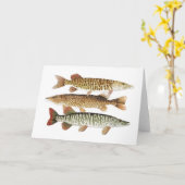 Muskie, Snoeken & Tijger Kaart (Gele Bloem)