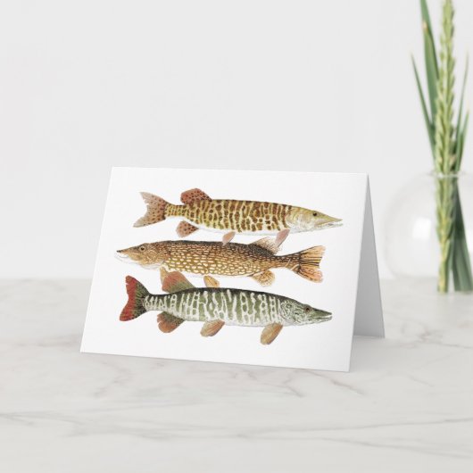 Muskie, Snoeken & Tijger Kaart (Voorkant)