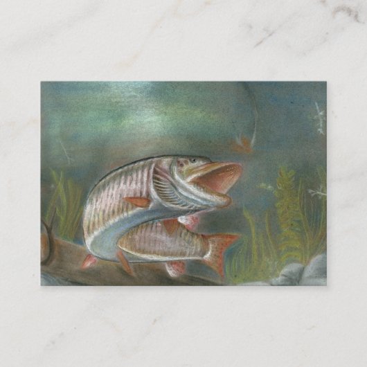 MUSKIE-template voor visitekaartjes (Voorkant)