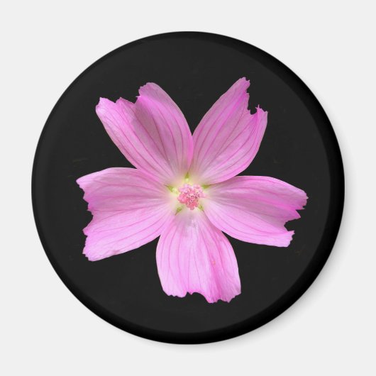 Muskmallow Magnet (Voorkant)
