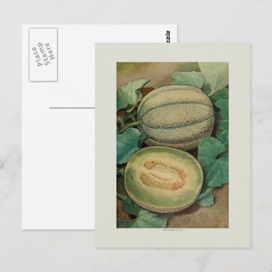 Muskmellon Briefkaart (Voorkant / Achterkant)