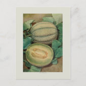 Muskmellon Briefkaart (Voorkant)