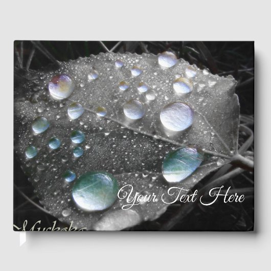 Muskoka Dew Drops Gastenboek (Voorkant)