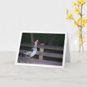 Muskovend-eend Portret Kaart (Gele Bloem)