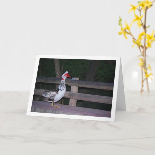 Muskovend-eend Portret Kaart (Gele Bloem)