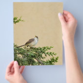 Muskovogel Fotografie Flyer (Hand)