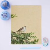 Muskovogel Fotografie Flyer (Enkel)
