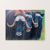 Muskox Alaska. kerstcadeautjes Legpuzzel (Horizontaal)