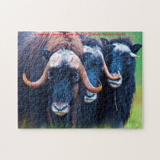 Muskox Alaska. kerstcadeautjes Legpuzzel (Horizontaal)