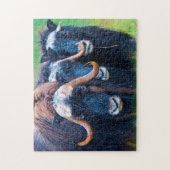 Muskox Alaska. Legpuzzel (Verticaal)
