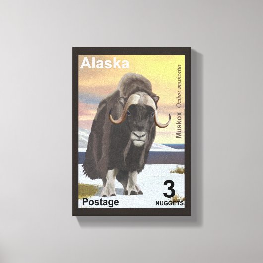 Muskox Canvas Afdruk (Voorkant)