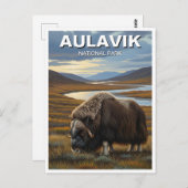 Muskox in het Aulavik National Park in Canada Briefkaart (Voorkant / Achterkant)