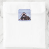 muskox, Ovibos moschatus, jonge stier Vierkante Sticker (Tas)