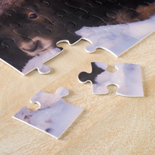 muskox, Ovibos moschatus, koe met pasgeborene; Legpuzzel (Zijkant)