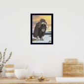 Muskox Poster (Keuken)