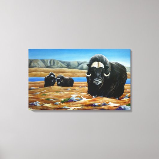 Muskox Schilderij Canadese Wildlife Canvas Print (Voorkant)