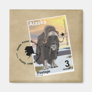 Muskox Stamp Souvenir Magneet