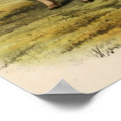 Muskoxen Poster (Hoek)