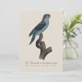 Muskparkiet Bedankkaart (Staand voorkant)