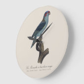 Muskparkiet Grote Klok (Hoek)