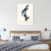 Muskparkiet, Trichoglossus concinnus Canvas Afdruk (Insitu (Slaapkamer))