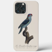 Muskparkiet, Trichoglossus concinnus Case-Mate iPhone Case (Achterkant)