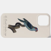 Muskparkiet, Trichoglossus concinnus Case-Mate iPhone Case (Achterkant (horizontaal))