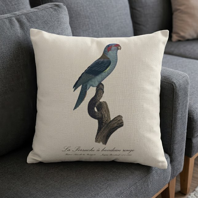 Muskparkiet, Trichoglossus concinnus Kussen (Musk Lorikeet, Trichoglossus Concinnus. Throw Pillow)