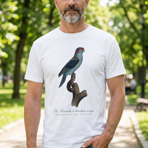 Muskparkiet, Trichoglossus concinnus T-shirt