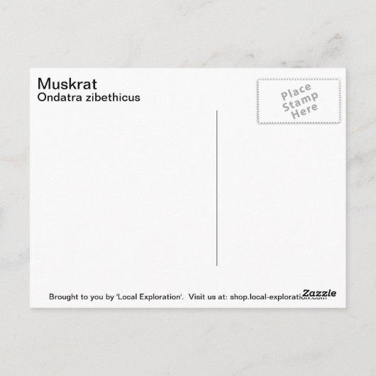 Muskrat Briefkaart (Achterkant)