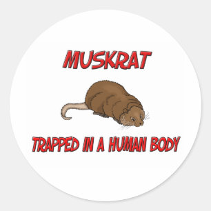 Muskrat gevangen in een menselijk lichaam ronde sticker