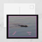 Muskrat in het Briefkaart van Minnesota (Voorkant / Achterkant)