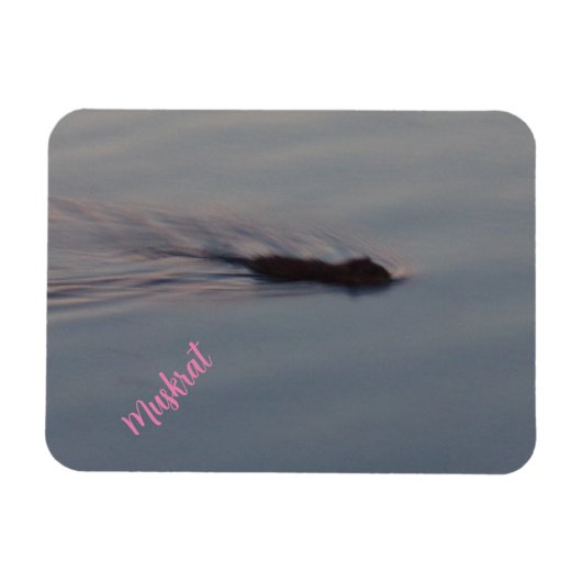 Muskrat in Minnesota Flexible Magnet Magneet (Horizontaal)