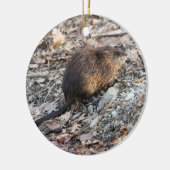 Muskrat Keramisch Ornament (Links)