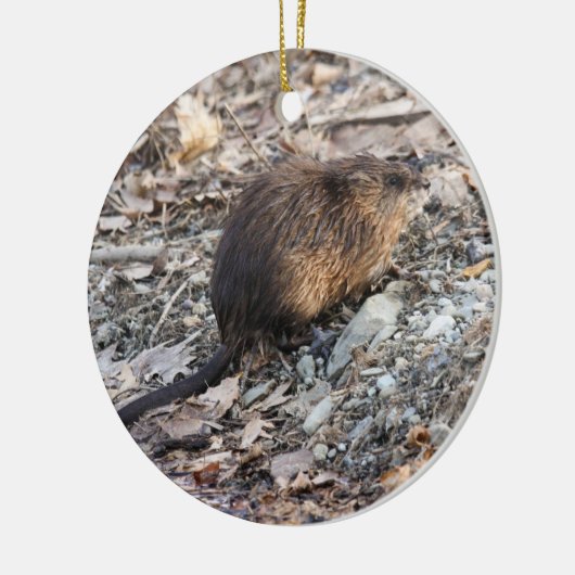 Muskrat Keramisch Ornament (Links)